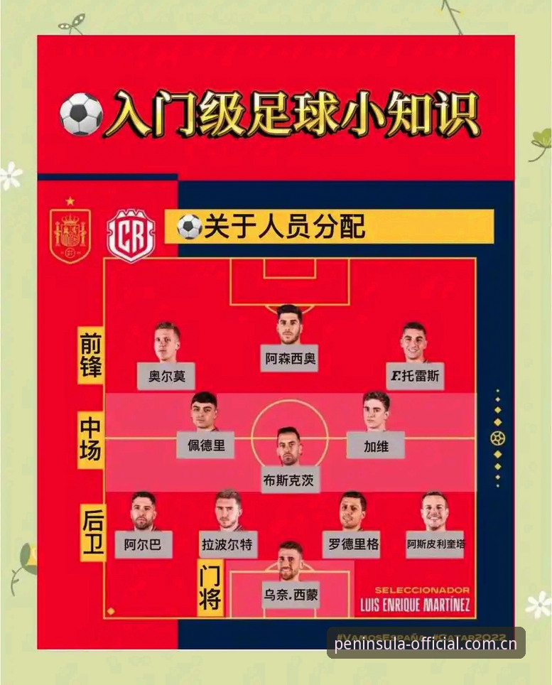 新手入门半岛体育娱乐的5个关键步骤，从注册到投注全攻略